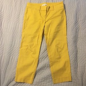 Loft Marissa crop pant